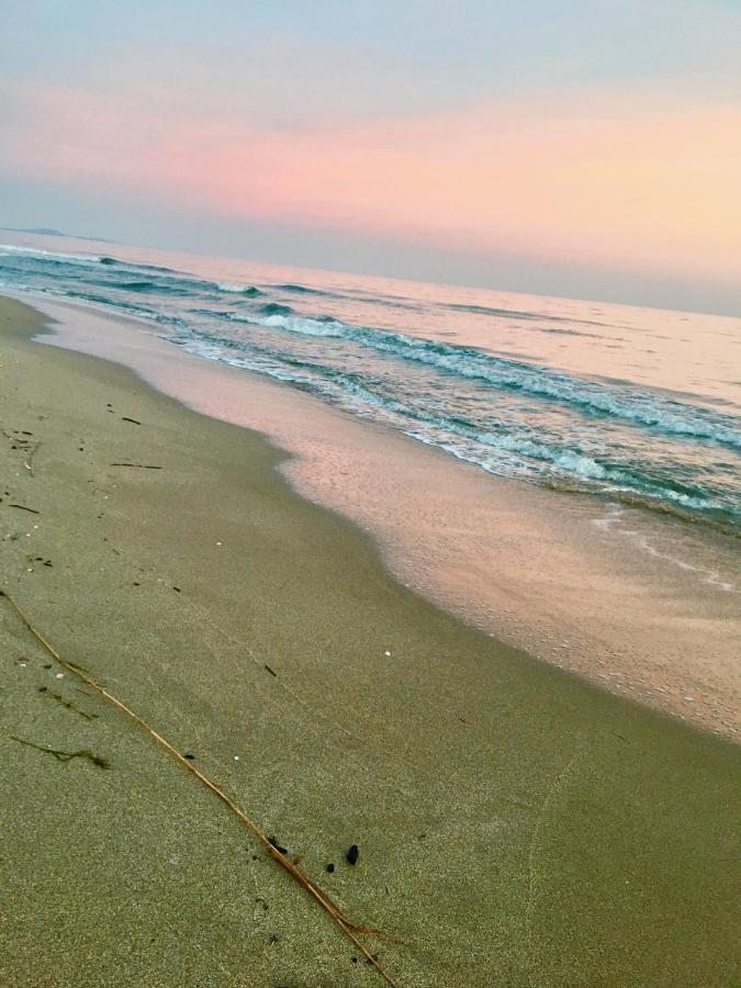 شقة Beach, Wine, Dining, Sports, Summer, Winter Sérignan المظهر الخارجي الصورة