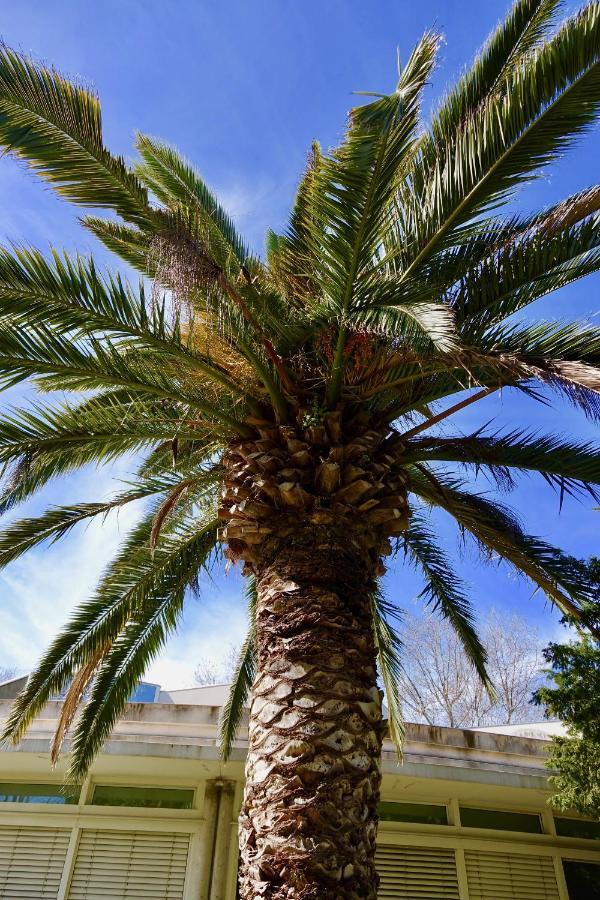 شقة Beach, Wine, Dining, Sports, Summer, Winter Sérignan المظهر الخارجي الصورة